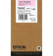 Картридж Epson C13T603C00