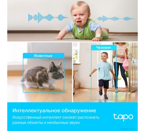 IP-камера TP-Link Tapo C225