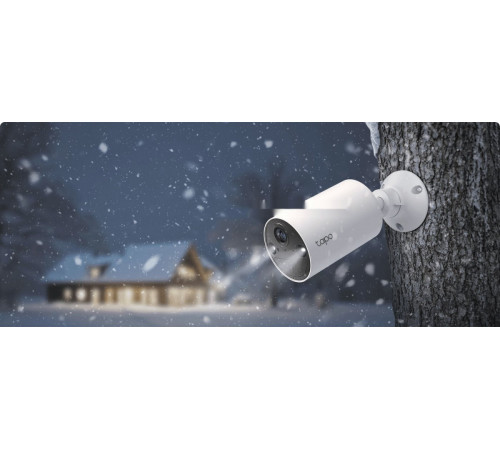 IP-камера TP-Link Tapo C410 (1-pack)