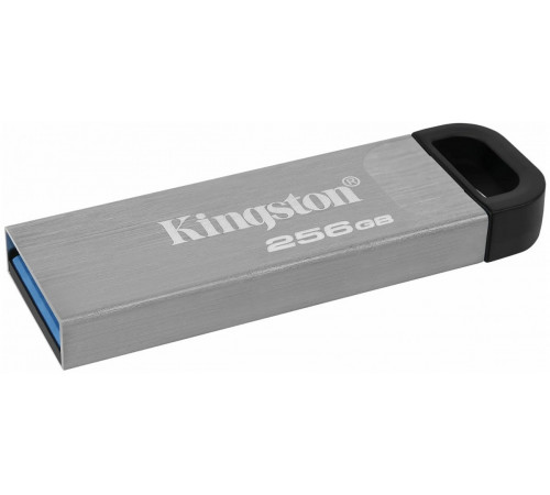 USB Flash Kingston Kyson 256GB