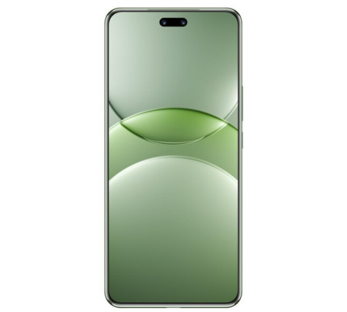 Смартфон Huawei nova 13 Pro MIS-LX9 12GB/512GB (дымчатый зеленый)