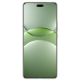 Смартфон Huawei nova 13 Pro MIS-LX9 12GB/512GB (дымчатый зеленый)