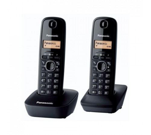 Радиотелефон Panasonic KX-TG1612 H