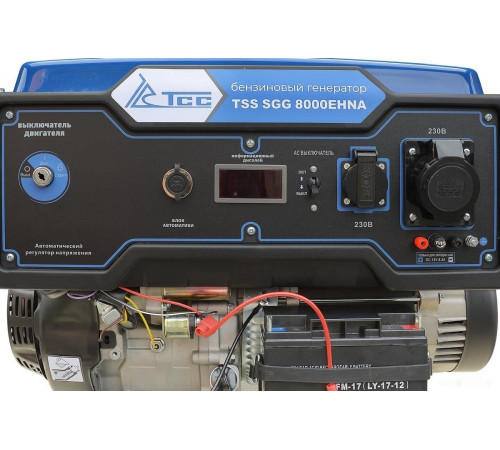 Генератор ТСС SGG 8000EHNA