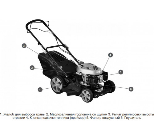 Бензиновая газонокосилка Champion LM4630