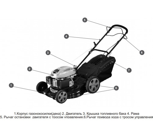 Бензиновая газонокосилка Champion LM4630