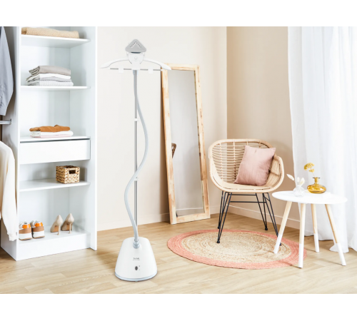Отпариватель Tefal IT2R04F1