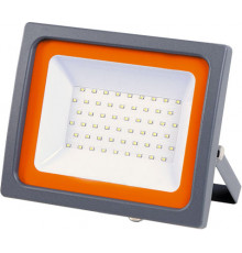 Прожектор JazzWay PFL-SC-100W