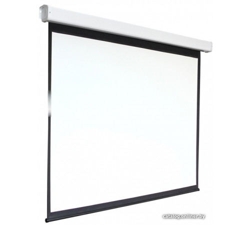 Проекционный экран Digis Electra-F 248x189 DSEF-4304