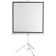 Проекционный экран Digis Kontur-D 186x189 DSKD-1105