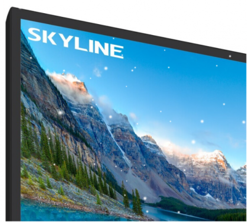 Телевизор SkyLine 24YST5970