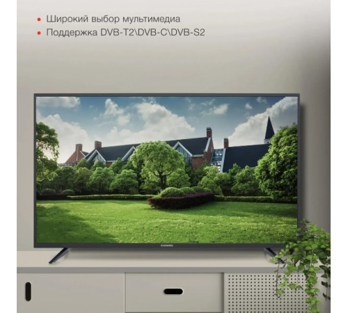 Телевизор StarWind SW-LED43UG403