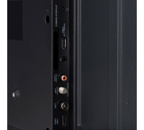 Телевизор StarWind SW-LED43SG300