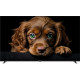 Телевизор TopDevice 55" QLED CQ08