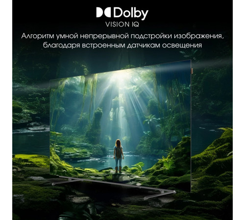 Телевизор DIGMA Pro OLED 65M
