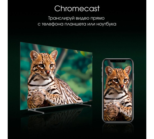 Телевизор DIGMA Pro OLED 65M