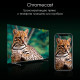 Телевизор DIGMA Pro OLED 65M