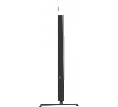 Телевизор DIGMA Pro OLED 55M