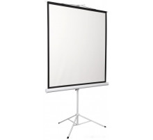 Проекционный экран Digis Kontur-D 248x189 DSKD-4304