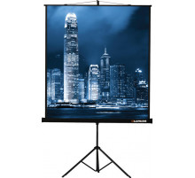 Проекционный экран Lumien Master View 165x220 LMV-100113