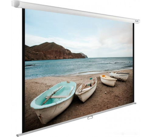 Проекционный экран Cactus WallExpert 200x150 CS-PSWE-200x150-WT