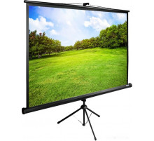 Проекционный экран Cactus TriExpert 160x160 CS-PSTE-160x160-BK