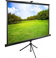 Проекционный экран Cactus TriExpert 180x180 CS-PSTE-180x180-BK
