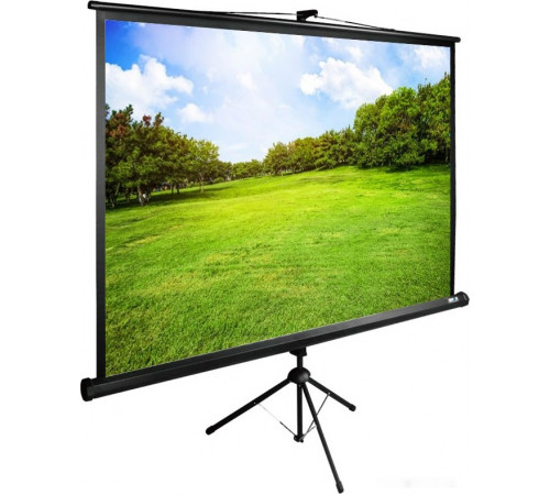 Проекционный экран Cactus TriExpert 200x200 CS-PSTE-200х200-BK