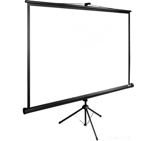 Проекционный экран Cactus TriExpert 220x165 CS-PSTE-220х165-BK