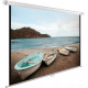 Проекционный экран Cactus WallExpert 220x138 CS-PSWE-220x138-WT