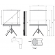 Проекционный экран Lumien LEV-100112