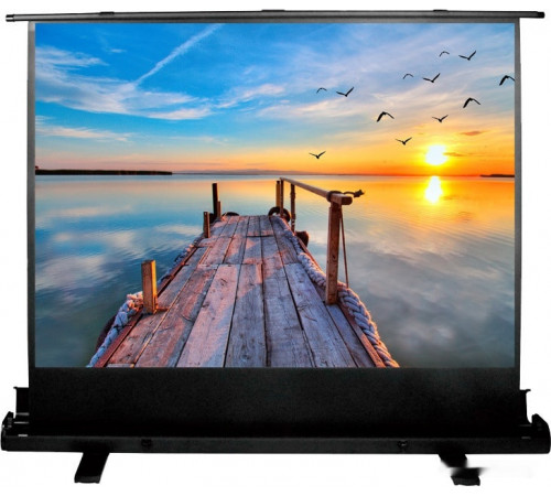 Проекционный экран Cactus FloorExpert 113x200 CS-PSFLE-200X113