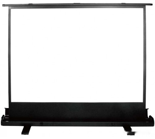Проекционный экран Cactus FloorExpert 113x200 CS-PSFLE-200X113