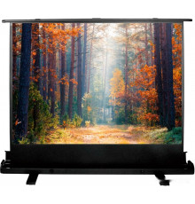 Проекционный экран Cactus FloorExpert 120x160 CS-PSFLE-160X120