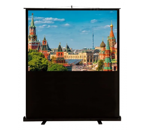 Проекционный экран Cactus FloorCompactExpert 113x200 CS-PSFLCE-200X113