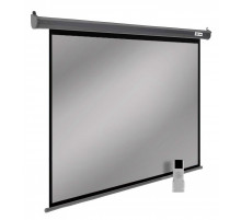 Проекционный экран Cactus SIlverMotoExpert 138x220 CS-PSSME-220X138-DG