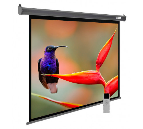 Проекционный экран Cactus SIlverMotoExpert 138x220 CS-PSSME-220X138-DG