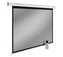 Проекционный экран Cactus SIlverMotoExpert 138x220 CS-PSSME-220X138-WT
