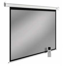 Проекционный экран Cactus SIlverMotoExpert 138x220 CS-PSSME-220X138-WT