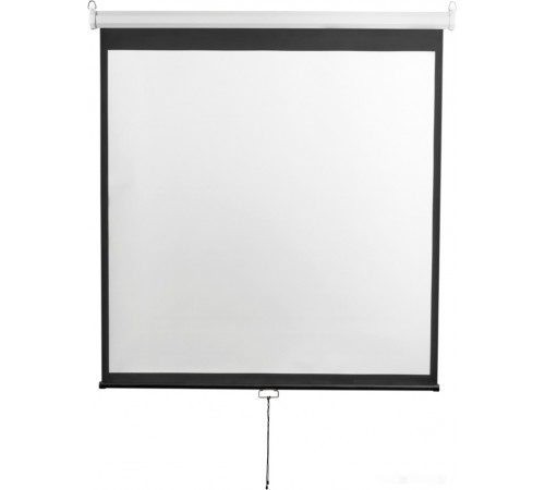 Проекционный экран Digis Optimal-D 308x177 DSOD-16907