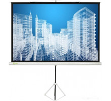 Проекционный экран Cactus Triscreen CS-PST-104x186