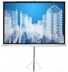 Проекционный экран Cactus Triscreen CS-PST-104x186