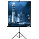 Проекционный экран Lumien Master View 153x153 (LMV-100102)
