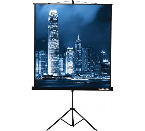 Проекционный экран Lumien Master View 244x244 (LMV-100105)