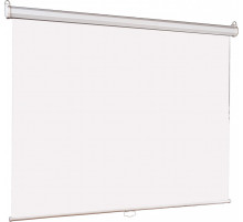 Проекционный экран Lumien Eco Picture (LEP-100101)