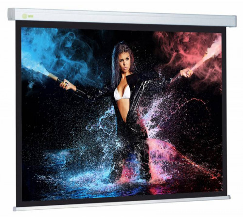 Проекционный экран Cactus Wallscreen CS-PSW-168x299