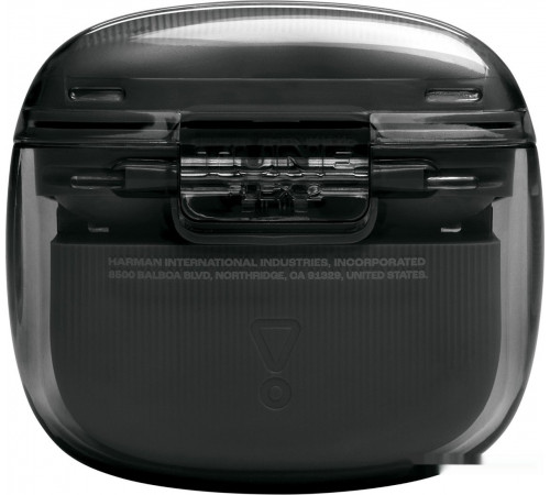 Наушники JBL Tune Flex 2 Ghost (черный)