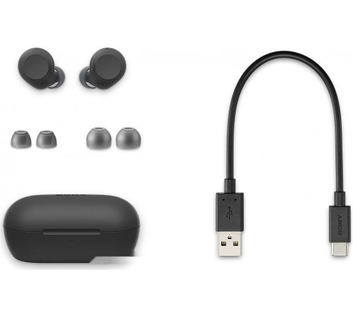 Наушники Sony WF-C710N (черный)