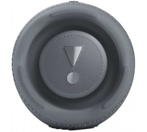 Портативная акустика JBL Charge 5 (серый)
