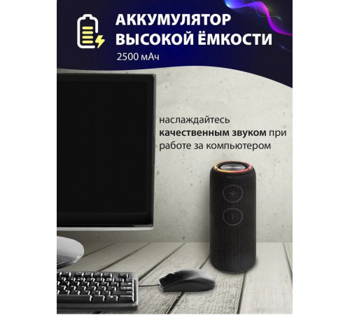 Портативная акустика AIWA PAS-H300 (черный)